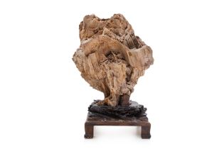 A LARGE PETRIFIED WOOD SPECIMEN