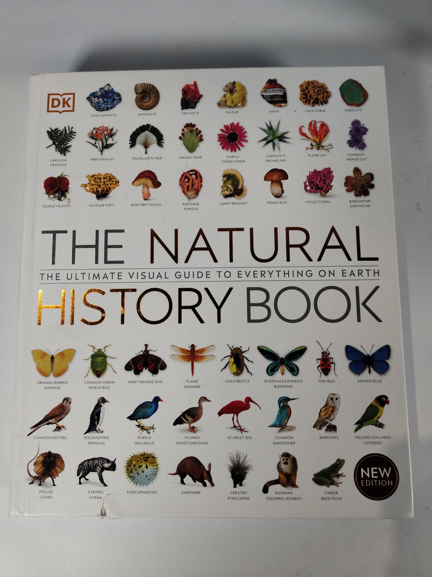 Five DK hardcover books to include The Science of the Earth, The Natural History Book, The Science o - Image 3 of 7