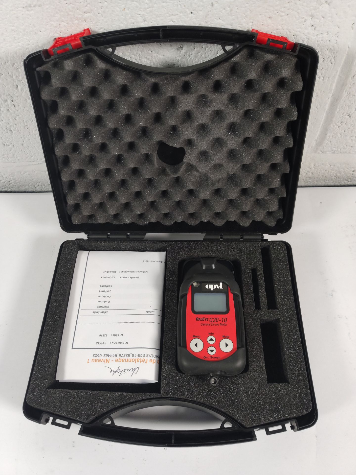 A pre-owned RadEye G20-10 gamma survey meter (REF: 42506/87).