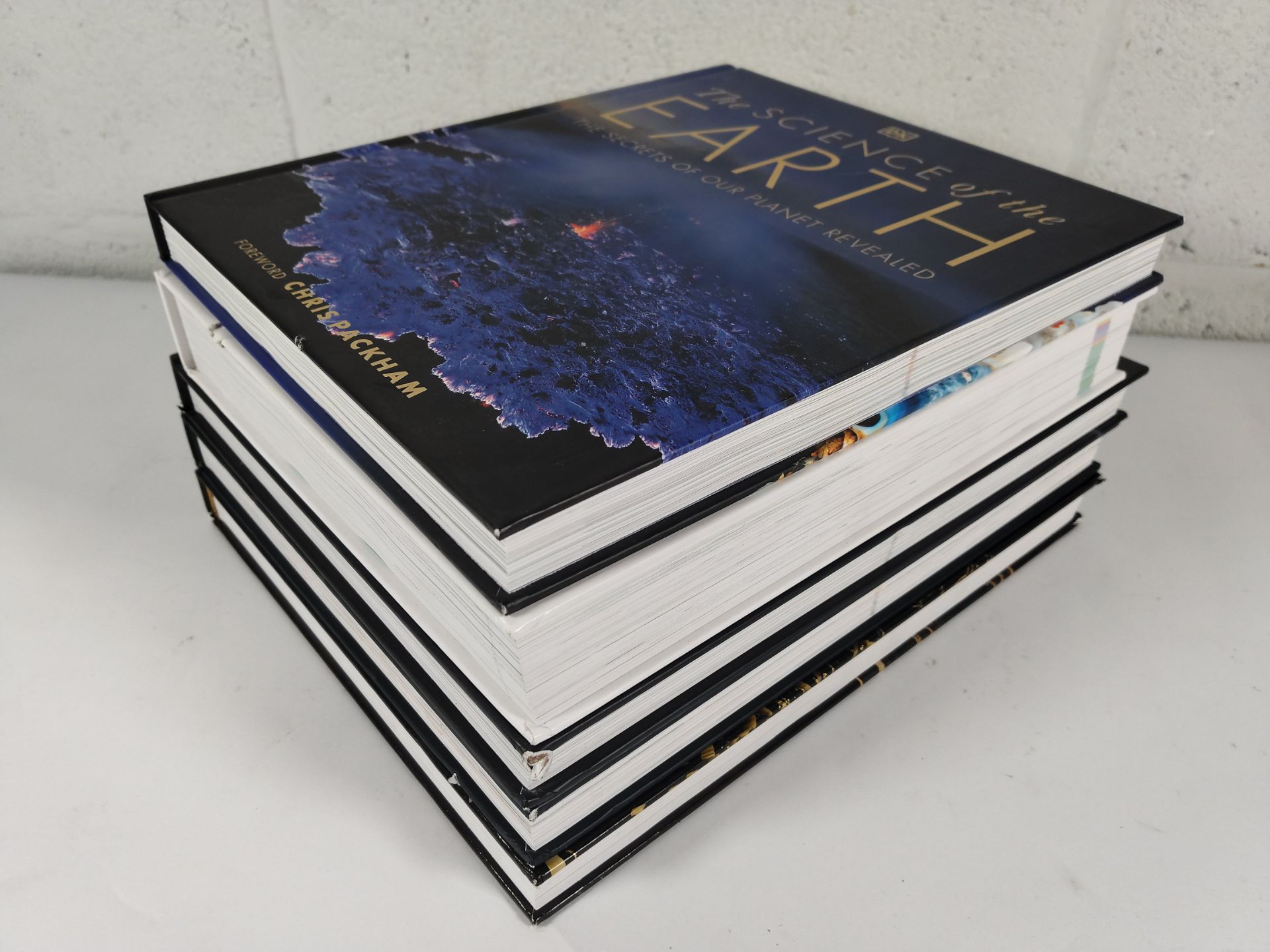 Five DK hardcover books to include The Science of the Earth, The Natural History Book, The Science o - Image 7 of 7