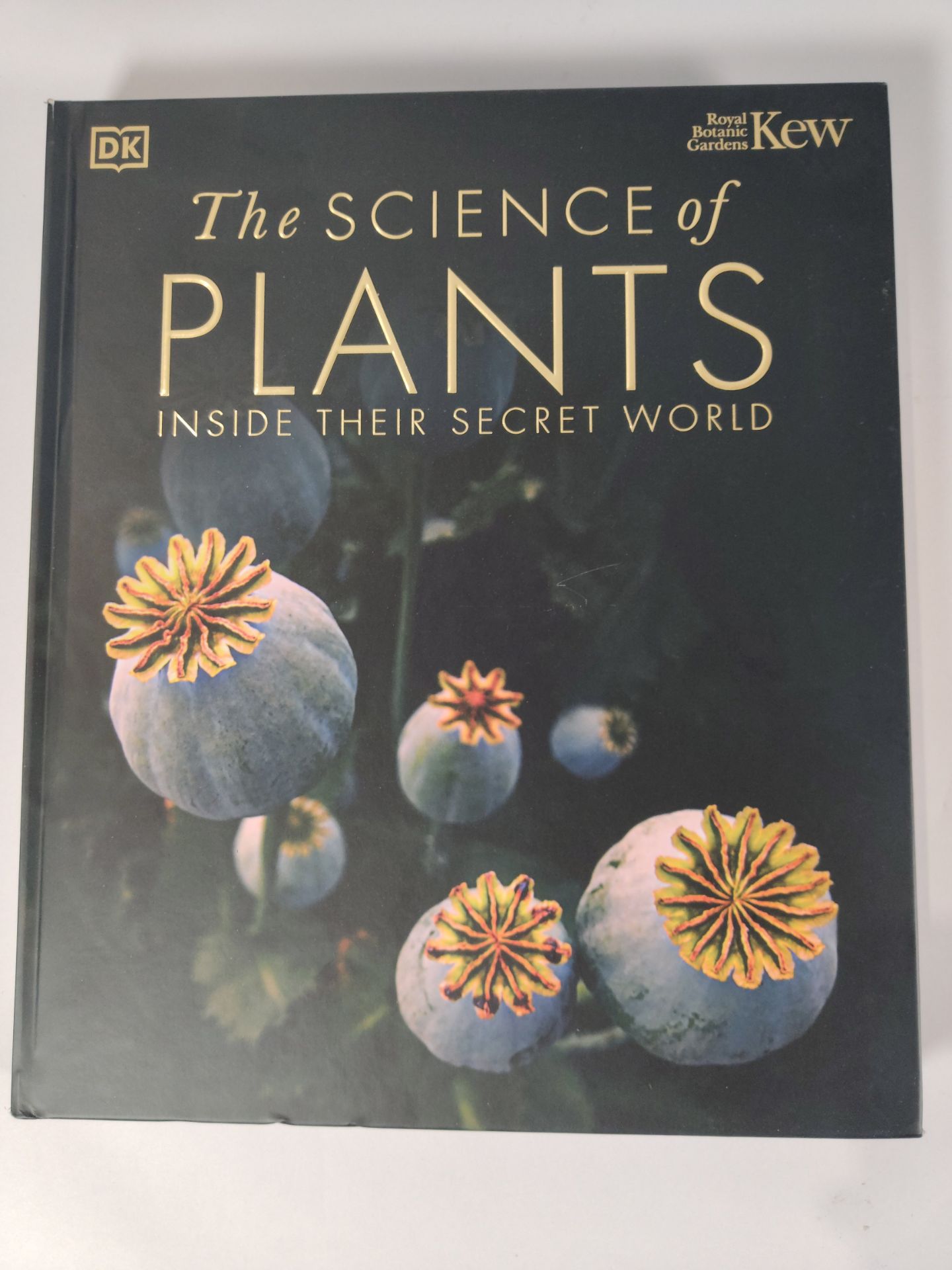 Five DK hardcover books to include The Science of the Earth, The Natural History Book, The Science o - Image 5 of 7