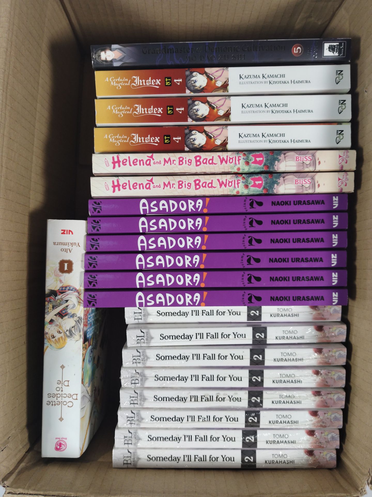 Twenty one as new and pre-owned manga/light novel books (over 18s only).