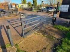 Pair 2018 3m EstateGuard electric gates, 6m overall width