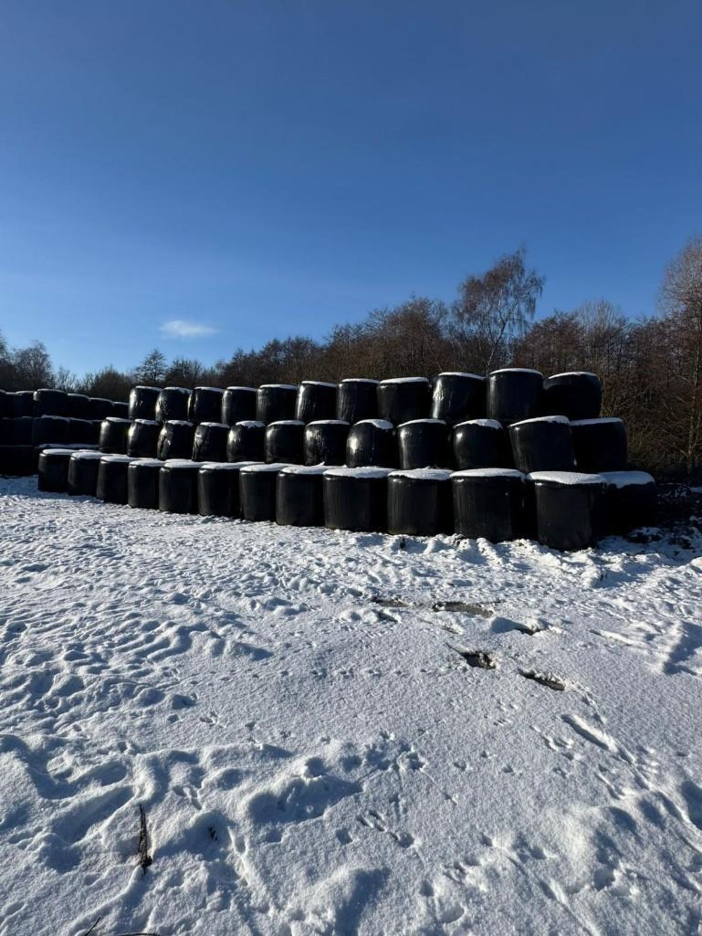 2025 Silage - (Norfolk) - Image 5 of 6
