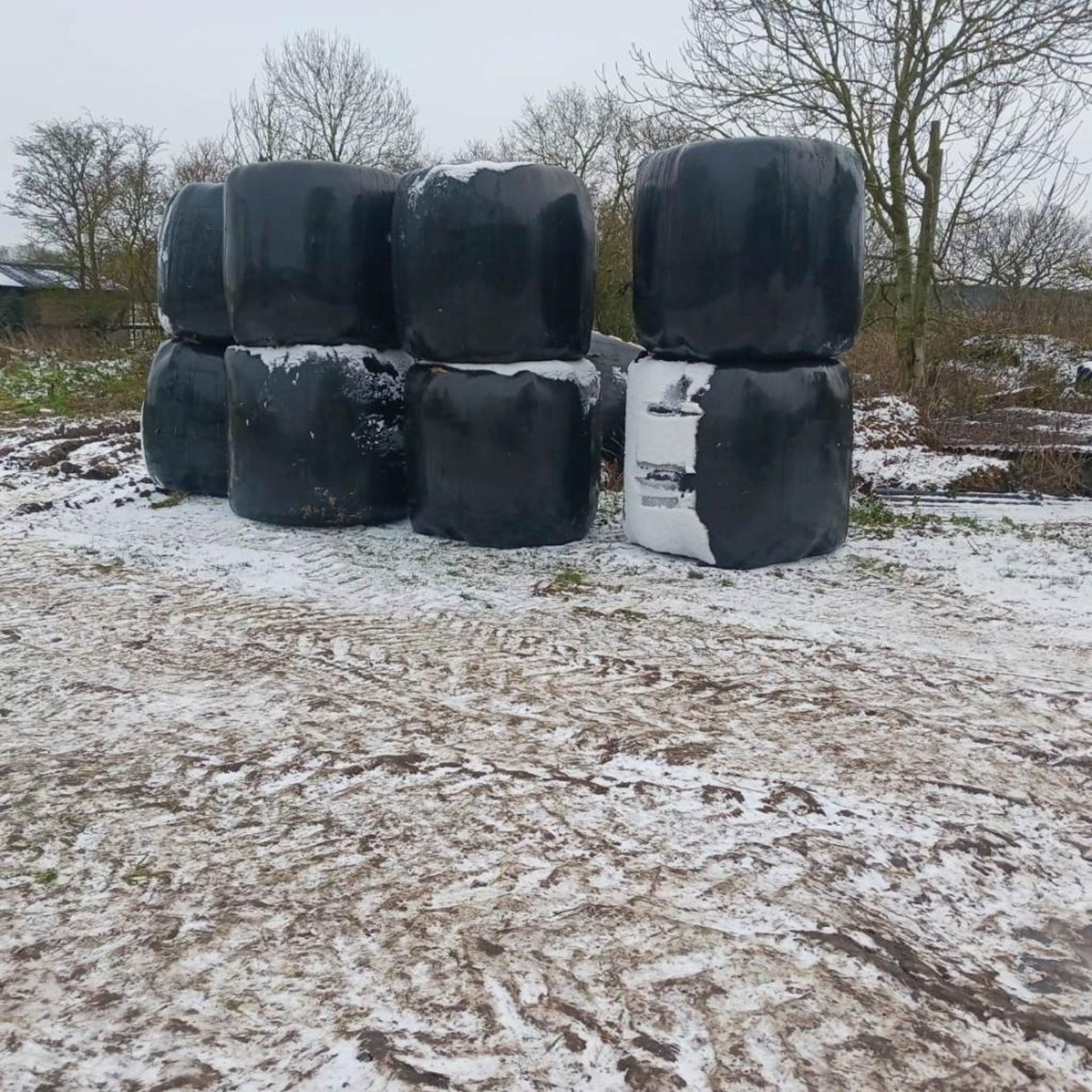 2025 Haylage - (Norfolk) - Image 2 of 2