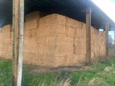 2025 Wheat Straw - (Norfolk)