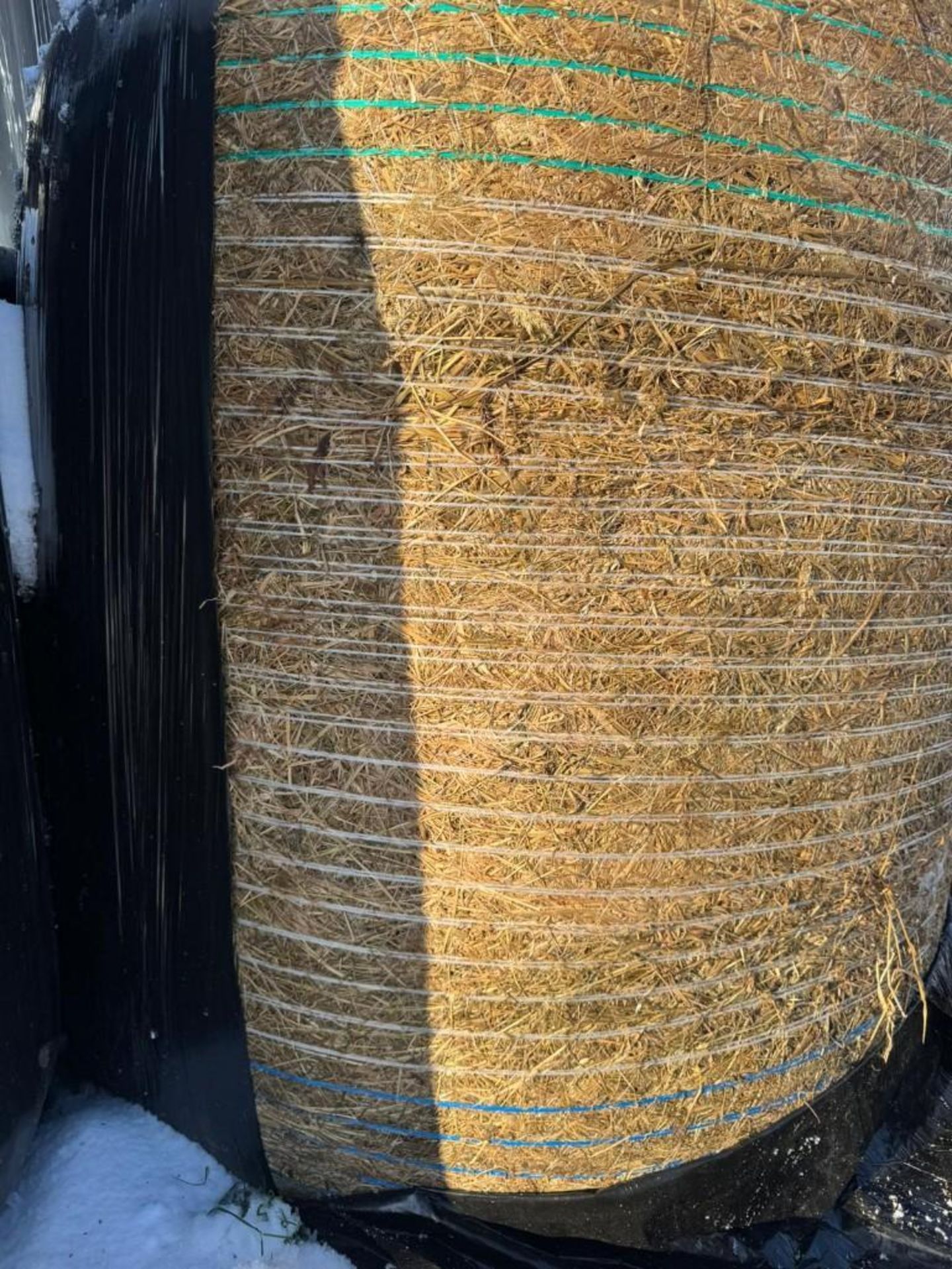 2025 Silage - (Norfolk) - Image 6 of 6