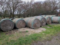 2024 Wheat Straw - (Nottinghamshire)