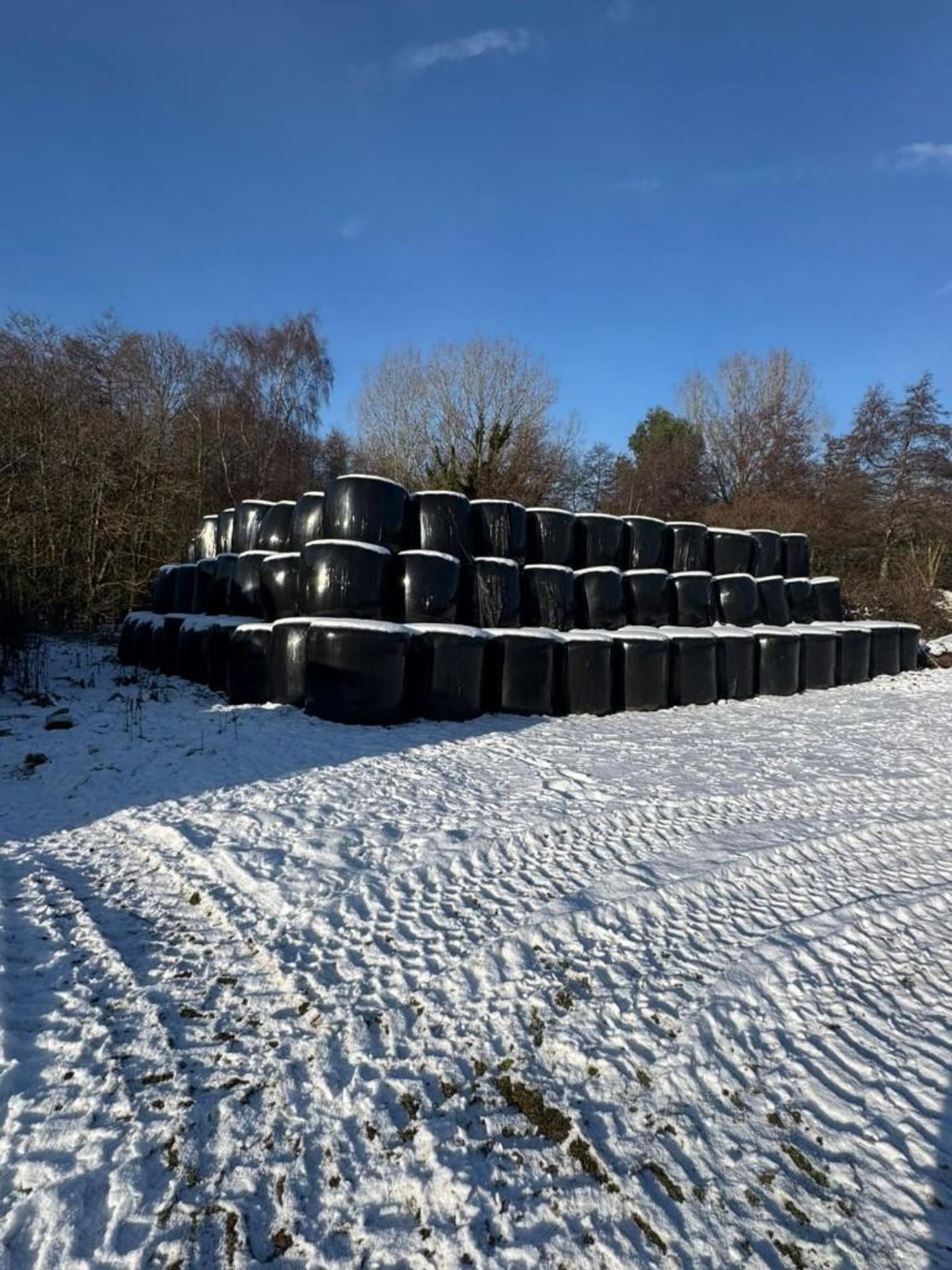 2025 Silage - (Norfolk) - Image 2 of 6