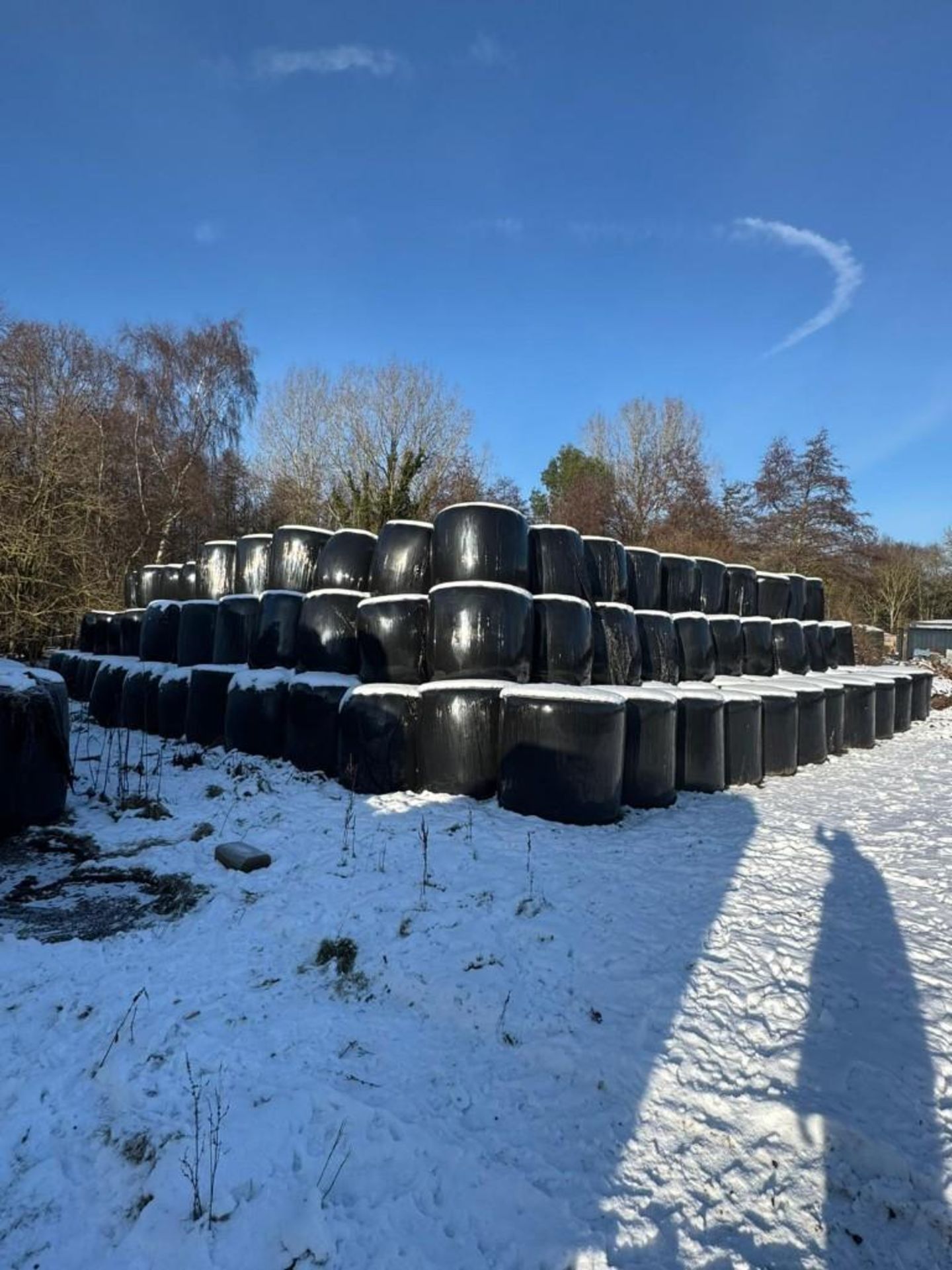 2025 Silage - (Norfolk) - Image 4 of 6