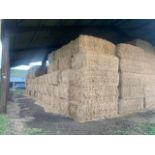 2025 Winter Barley Straw - (Norfolk)