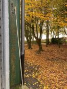 Grain Spear - (Norfolk)