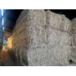 2024 Winter Barley Straw - (Norfolk)