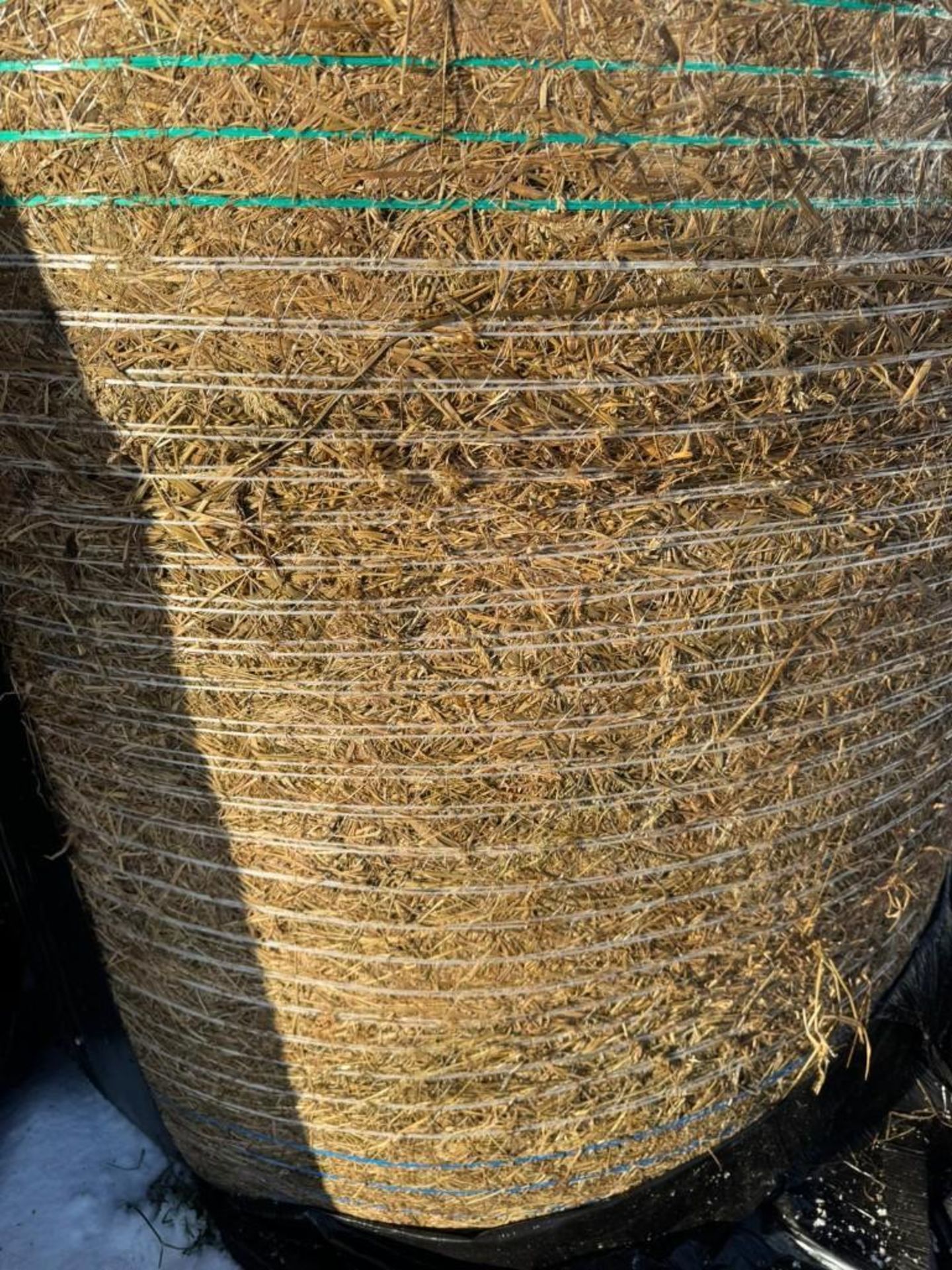 2025 Silage - (Norfolk) - Image 3 of 6