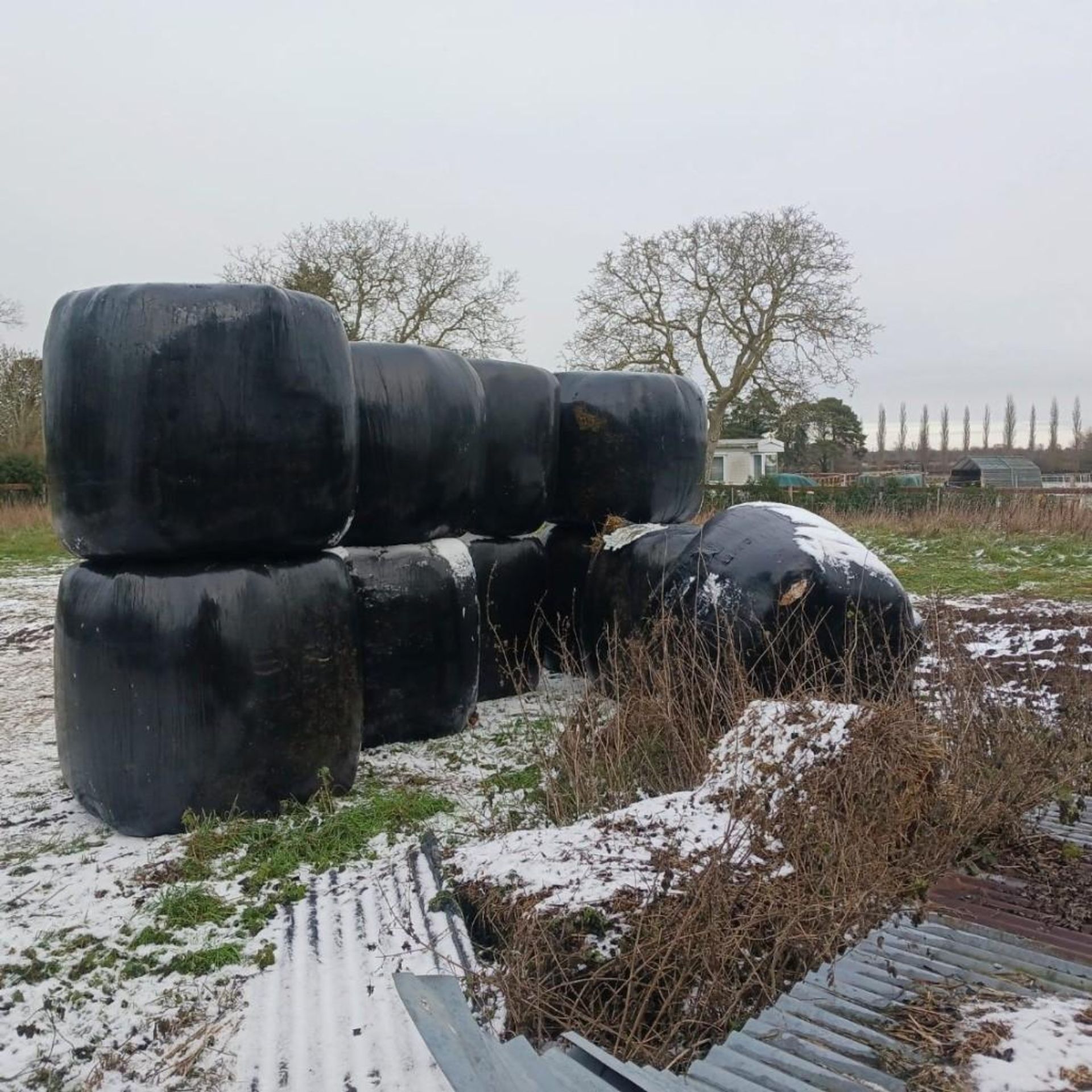 2025 Haylage - (Norfolk)