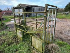 Cattle Crush - (Lincolnshire)