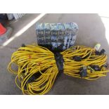 FESTOON LIGHTS & BULBS