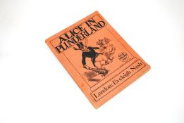 Alice In Plunderland by Loris Carllew illustrated