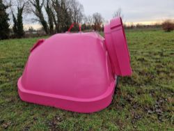 Charity Timed Online Auction of Pink Con-Tented Armadillo Quad Pig Farrowing Hut on behalf of YANA, FCN & Ladies in Pigs