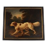 19th Century English school, study of a spaniel in a woodland clearing, unsigned oil on canvas,