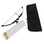 A black and silver target bow, together with several arrows, in a black NOBO carry bag. A