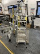 Beldray 3-way aluminium ladder, Werner 5 tread stepladder, Clow fibreglass 3 tread stepladder,