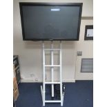 Panasonic TH-50PF30 50" 50-inch full high definition plasma display