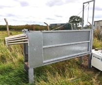 1 x Sheep Handling 10ft Starter Race with Guillotine Gate - Dimensions: H160 x W47 x L300 cms