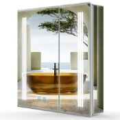 RRP £192.17 LUMIRRORS Bathroom Mirror Cabinets with Lights and Shaver Socket 50x70cm