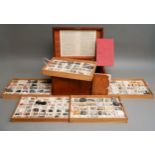 A Victorian James Tennant geological specimen mahogany box, the rectangular box with hinged lid