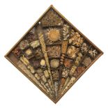 19th Century Horticultural specimen diorama, with shaped segmented interior, comprising flowers
