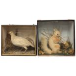 Taxidermy - Victorian Ptarmigan in a naturalistic setting and glazed case, H 25cm x W 29cm, together