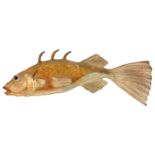 An early 20th century taxidermy-style leather clad fish model with glass eyes and painted detail,