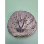 A rare, large trilobite fossil, finely preserved, detailed fossil with evenly spaced legs and