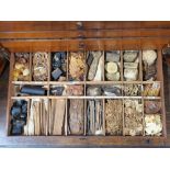 A 19th-century  'Materia Medica' for the "Major Examination" mahogany cabinet, the eight numbered