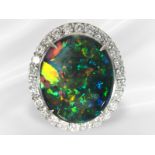 Ring: Opalring der Superlative, Platin, Lightning Ridge Blackopal 15ct
