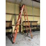 Werner Professional 10' Ladder 300 lb Capacity