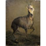 Benno Adam, "Gemsbock", Ölgemälde von 1831 oder 1881, gerahmt