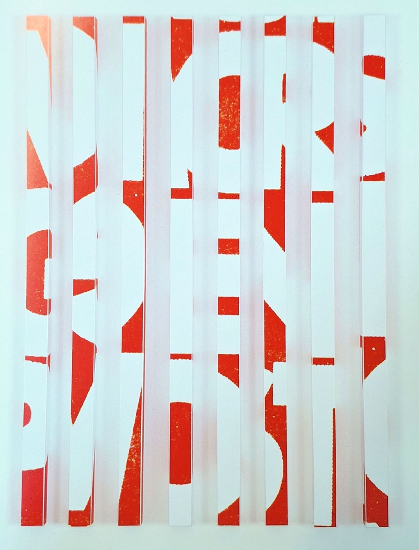 Dennis Loesch, The Mopo, Wandobjekt, Inkjet-Print auf Aluminiumstäben von 2012, mit Katalog