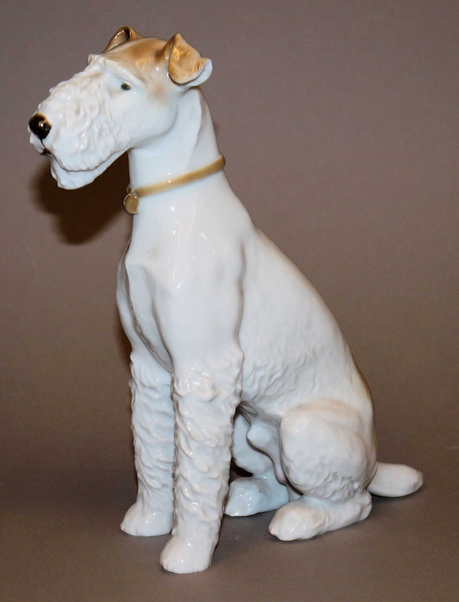 Franz Nagy, Sitzender Foxterrier, Allach-Porzellan um 1935 