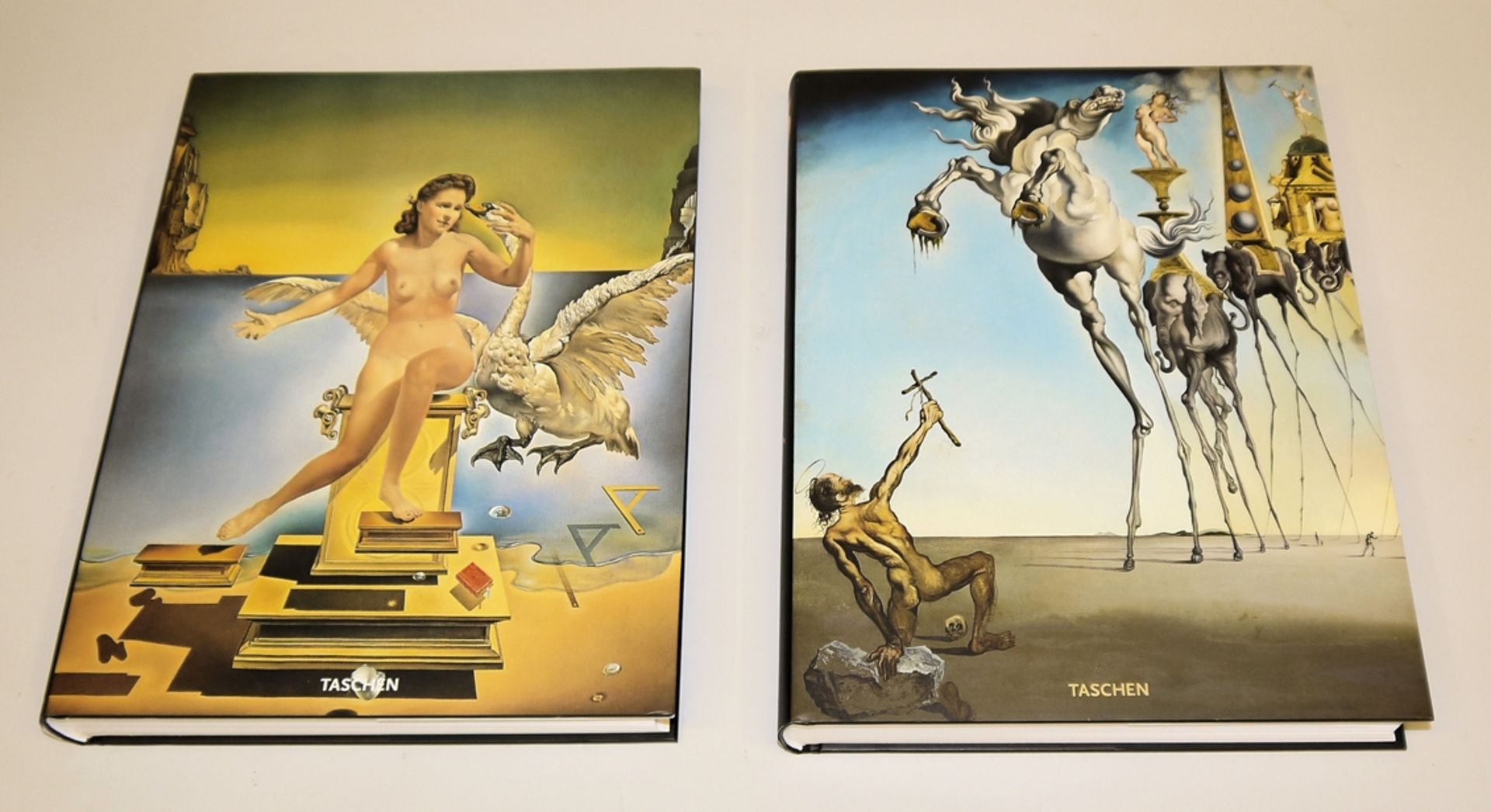 Salvador Dalí, gepflegte Kunstbuchsammlung mit Raritäten (u.a. Gerhard Habarta, Erstausgabe) - Bild 4 aus 6