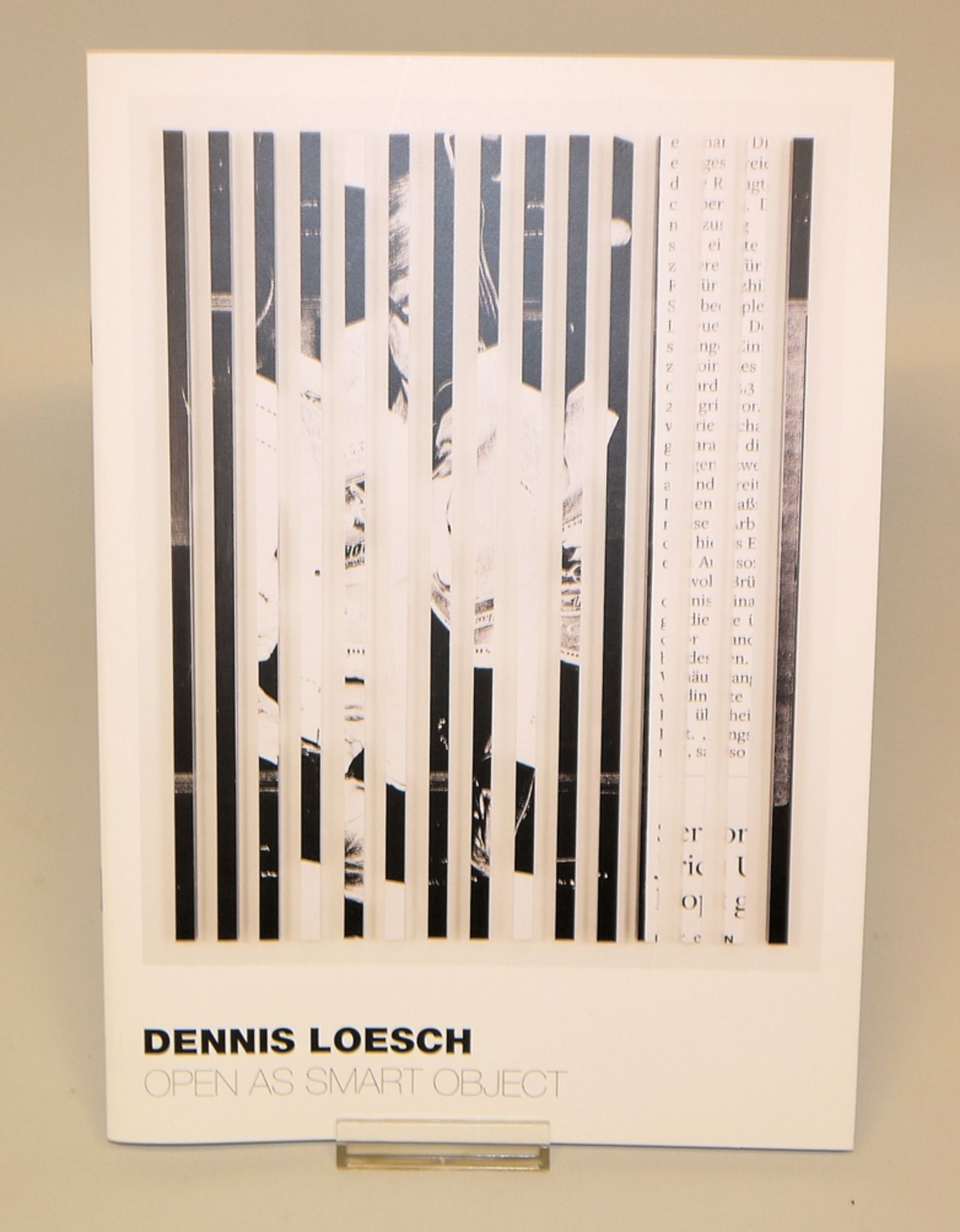 Dennis Loesch, The Mopo, Wandobjekt, Inkjet-Print auf Aluminiumstäben von 2012, mit Katalog - Bild 2 aus 2