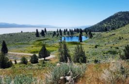 Escape the City to Beautiful Modoc County in Northeast California!