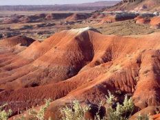 Explore the Painted Desert: Arizona Land Near Holbrook!