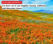 2.5 Acre Lot in Los Angeles County, California with Mountain Views!