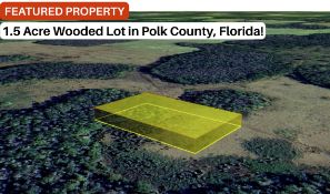 Own 1.5 Acres of Wooded Land in Polk County, Florida!