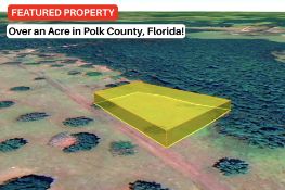1.63 Acres in Polk County, Florida!