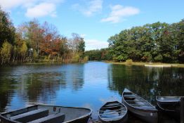 Incredible Outdoor Activities and Scenic Beauty in Antrim County, Michigan!