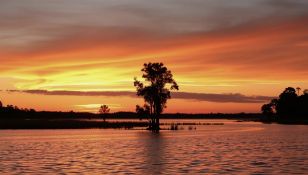 Close to Florida's Tiger Lake: Secluded 1.27-Acre Lot!