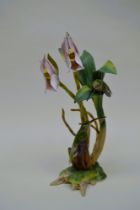 Boehm Porcelain D'Osery's Hermit Hummingbird Sculpture, 2003, Rare